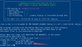 完整优雅的卸载腾讯云云服务器安全监控组件