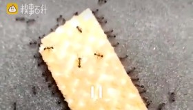 看出什么了吗？