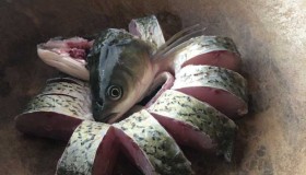 终行不义必自毙，天网恢恢疏而不漏。