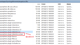 修复黑群晖 Moments 1.3.x 版本人物识别不能使用问题
